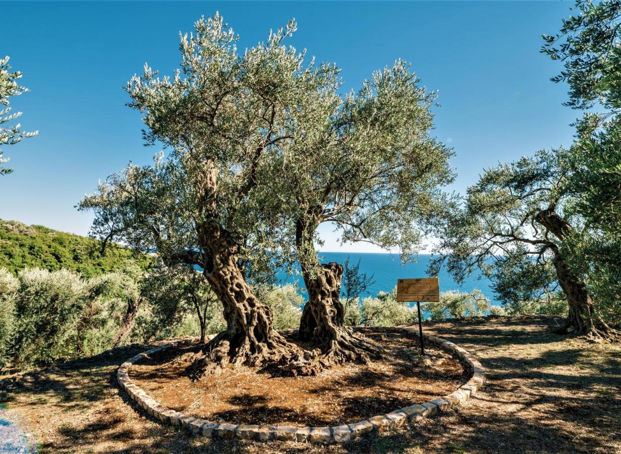 Holiday Park Olive Tree Ulcinj Exterior foto